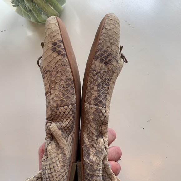 Sam Edelman Felicia Flat Snake Cream -Size 8 - Picture 6 of 6
